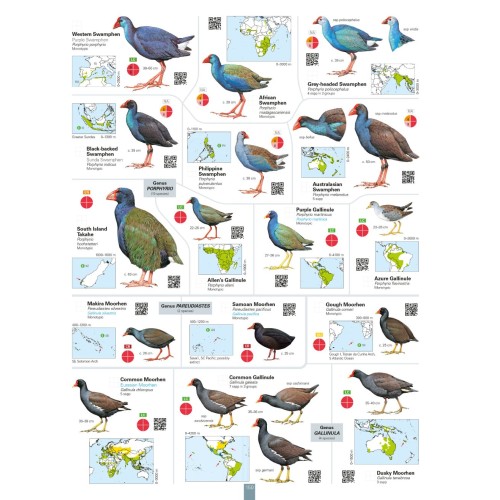 All the Birds of the World | Nature Expert